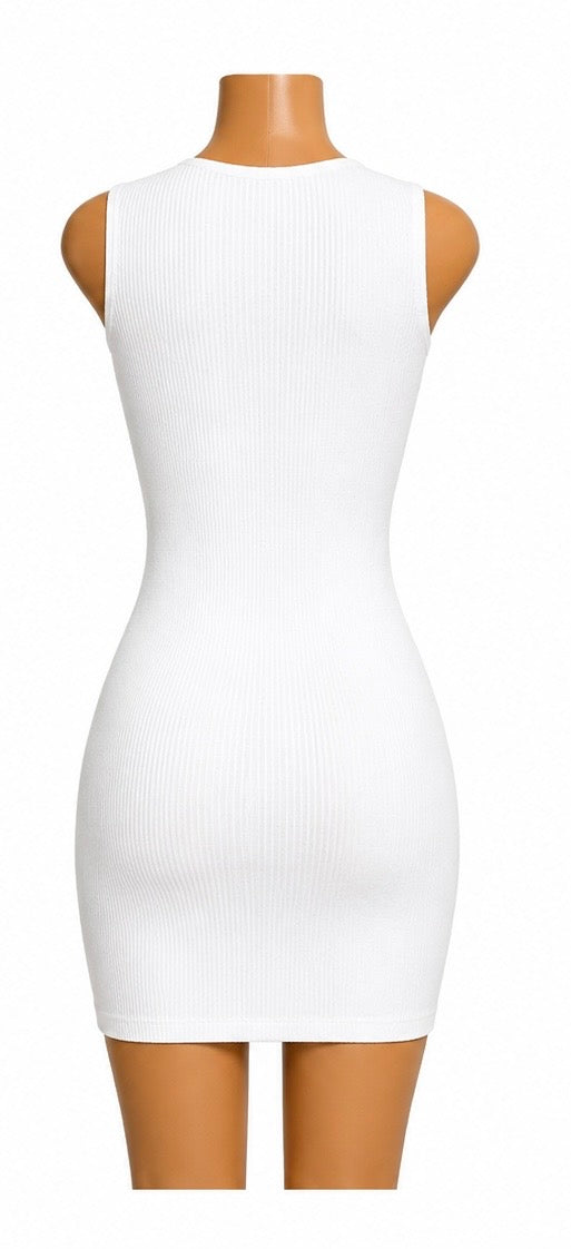 CIRRUS Ribbed Mini Dress