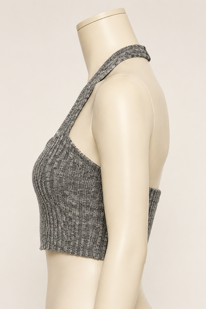 PEWTER Backless Halter Crop Top