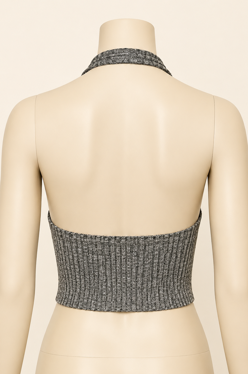 PEWTER Backless Halter Crop Top